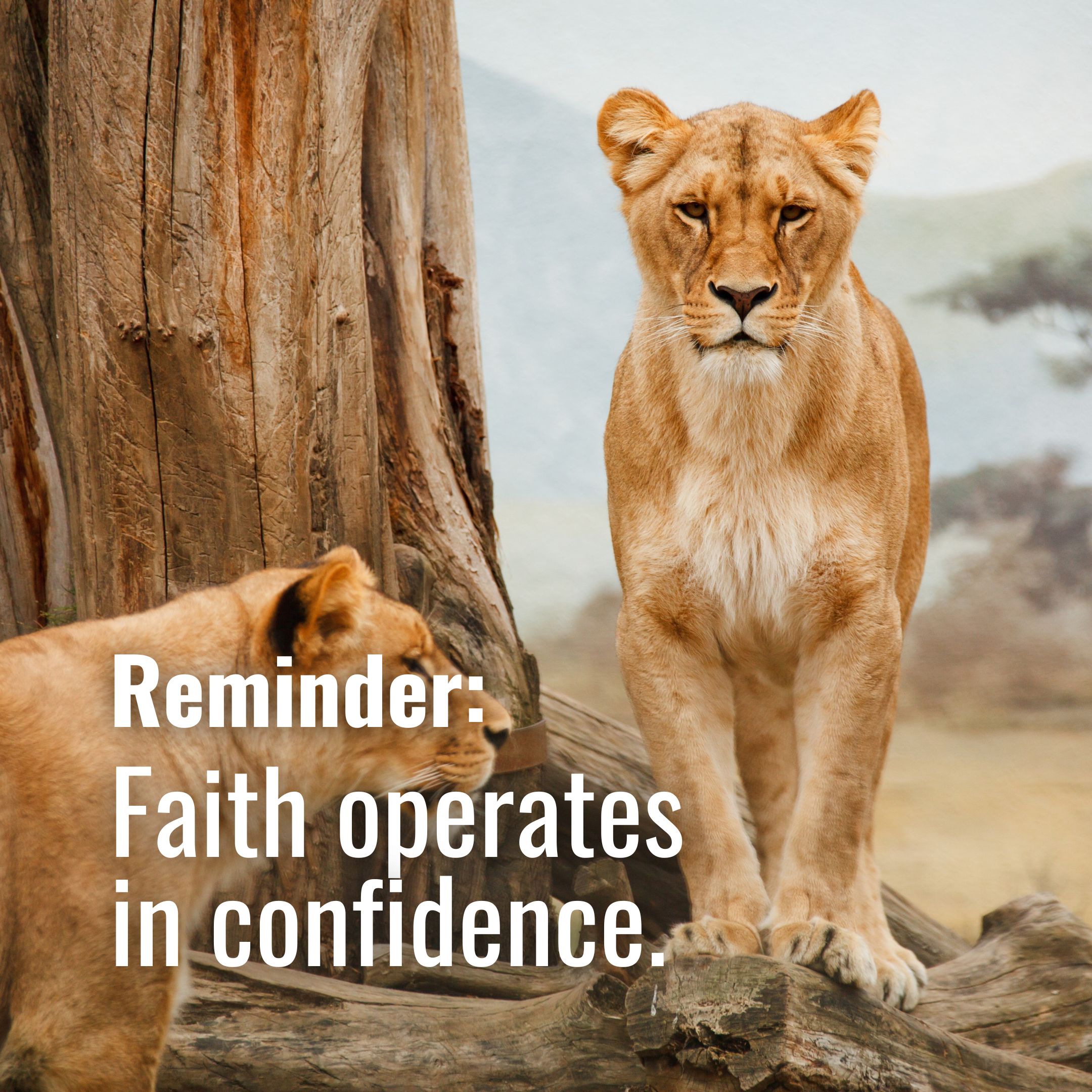 Faith operates in confidence.